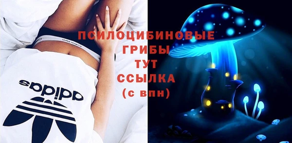 индика Лихославль
