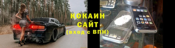 индика Лихославль