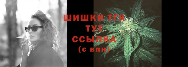 гидра Липки