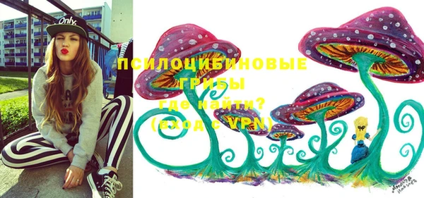 гидра Липки