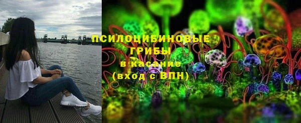 гидра Липки