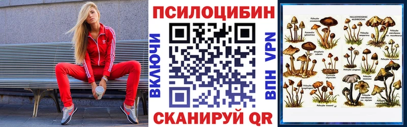 Галлюциногенные грибы Cubensis  Купить закладки  Братск 
